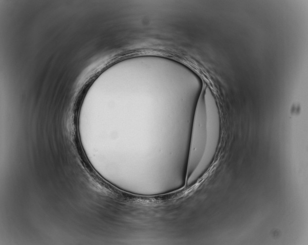 X0000099580245200806061633