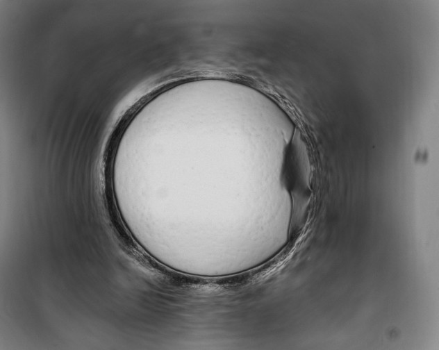 X0000099580246200806061633