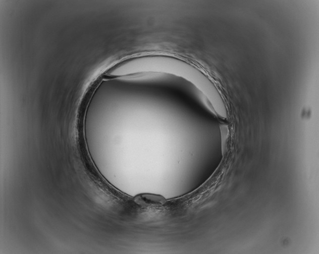 X0000099580248200806061633