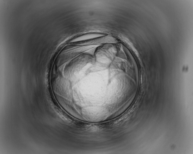 X0000099580249200806061633