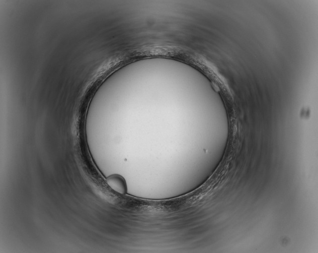 X0000099580250200806061633