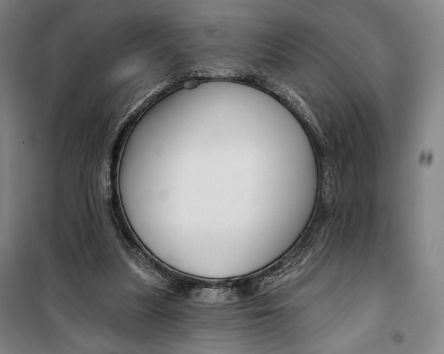 X0000099580251200806061633