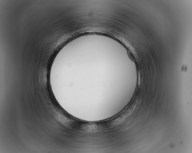 X0000099580253200806061633