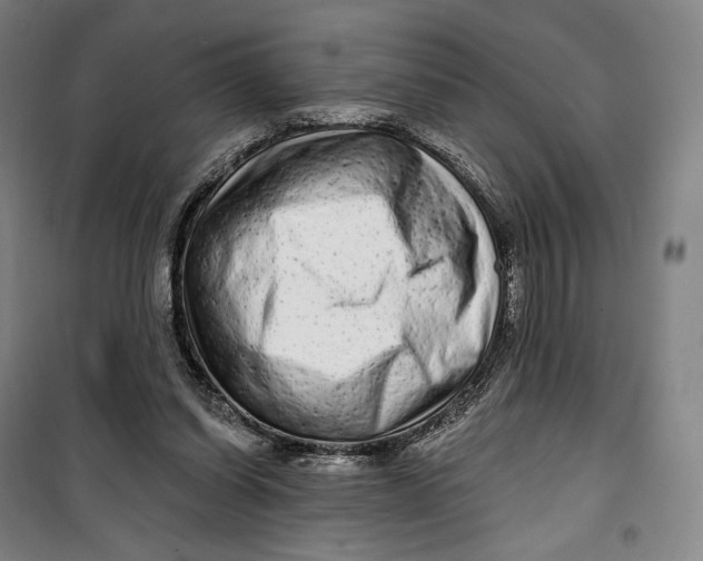 X0000099580254200806061633