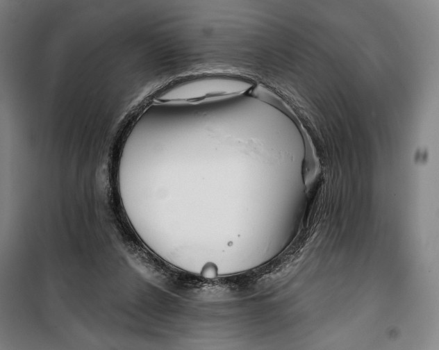 X0000099580256200806061633