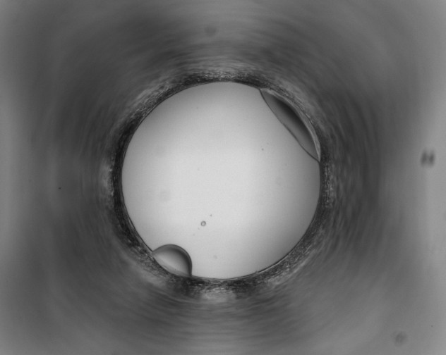 X0000099580258200806061633