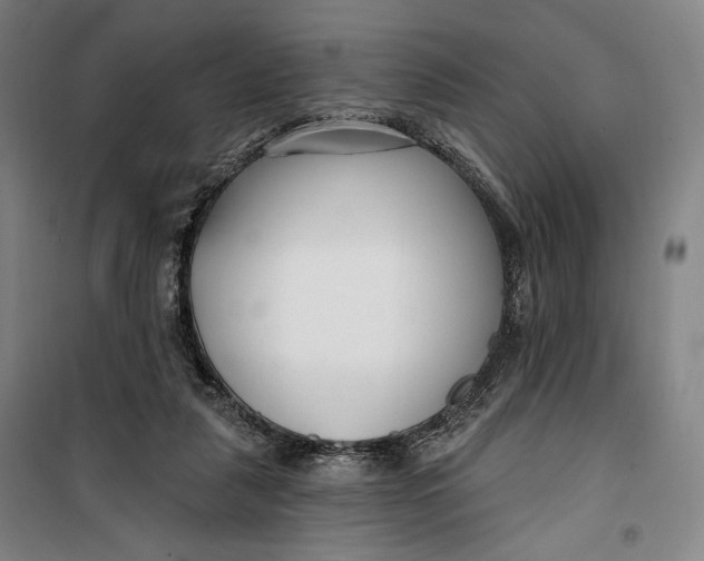 X0000099580259200806061633