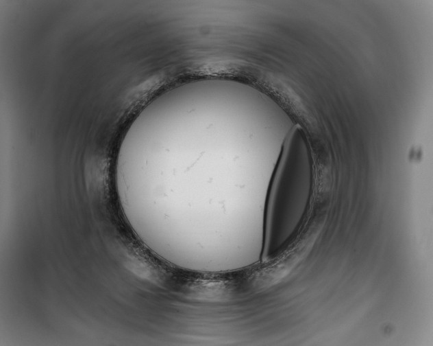 X0000099580260200806061633