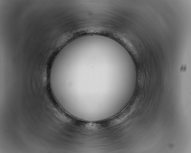 X0000099580261200806061633