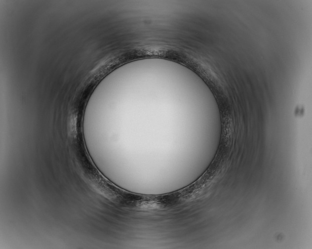 X0000099580262200806061633