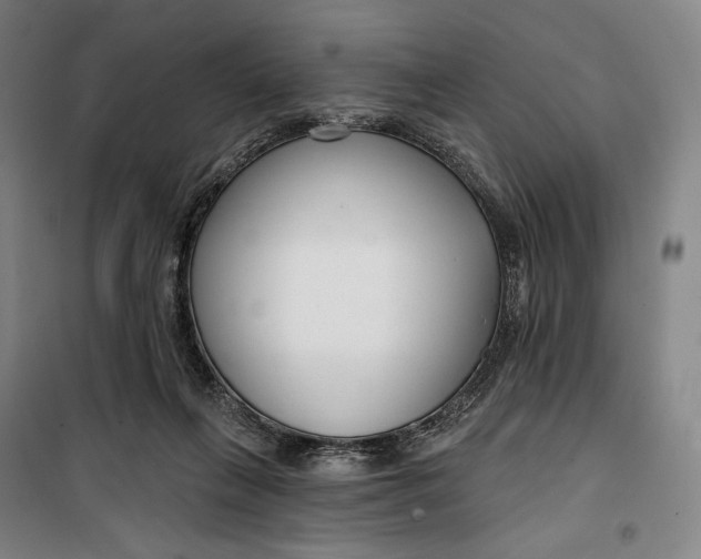 X0000099580263200806061633