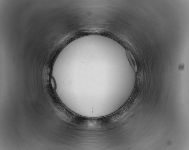 X0000099580264200806061633