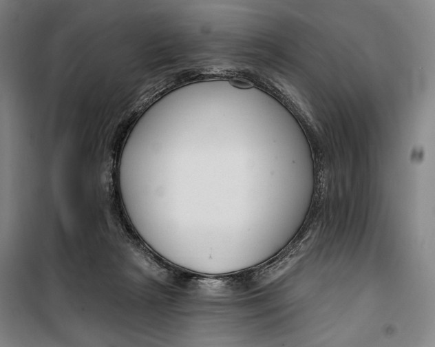 X0000099580265200806061633