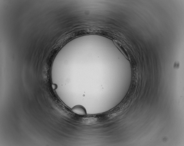 X0000099580266200806061634