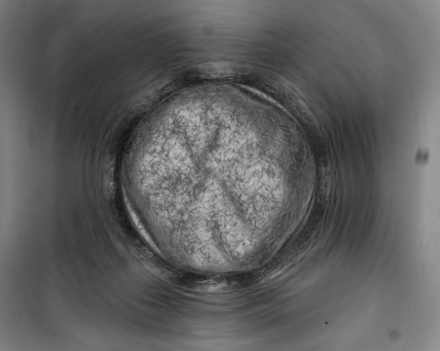 X0000099580267200806061634