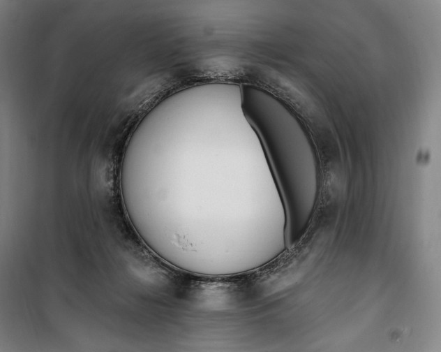 X0000099580268200806061634