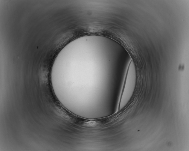 X0000099580269200806061634