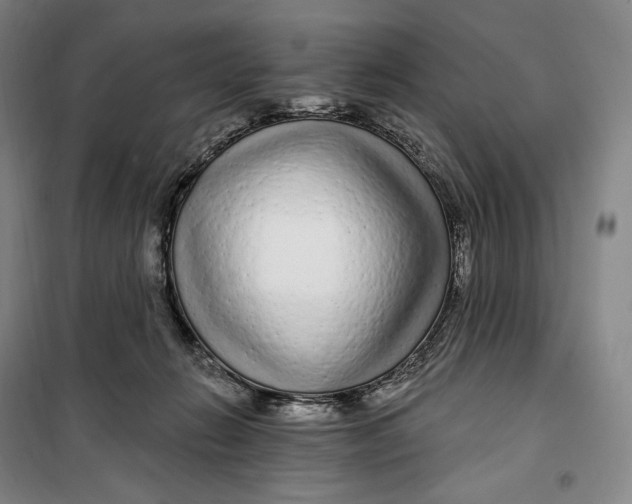 X0000099580270200806061634