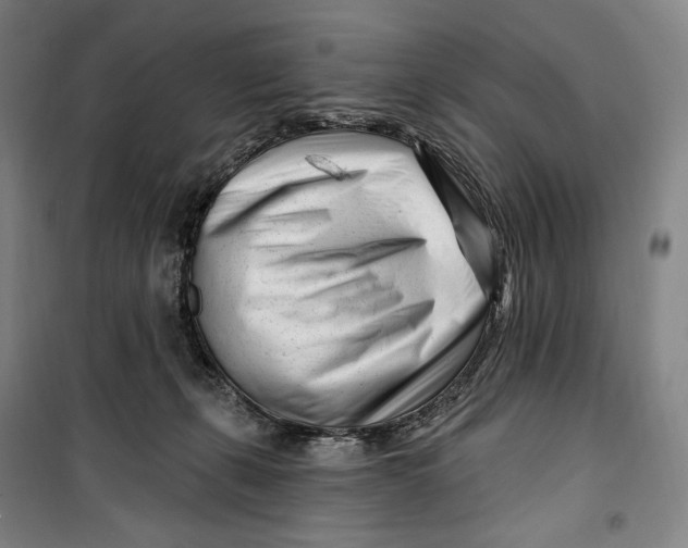 X0000099580271200806061634