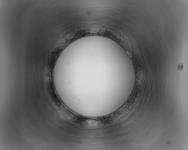 X0000099580272200806061634