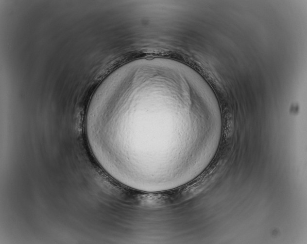 X0000099580273200806061634