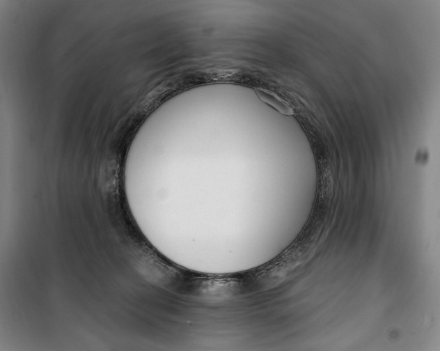 X0000099580274200806061634