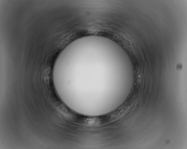 X0000099580275200806061634