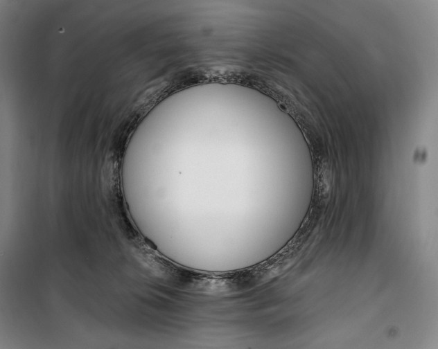 X0000099580276200806061634