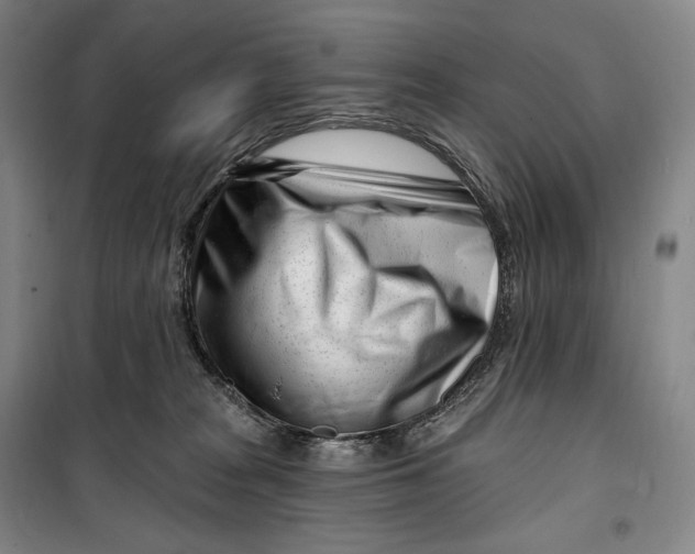 X0000099580277200806061634