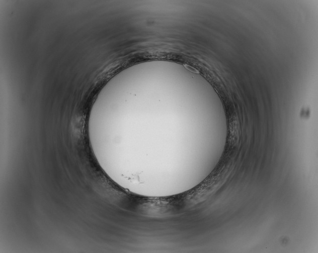 X0000099580278200806061634