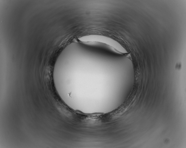 X0000099580280200806061634