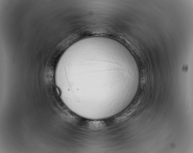 X0000099580281200806061634