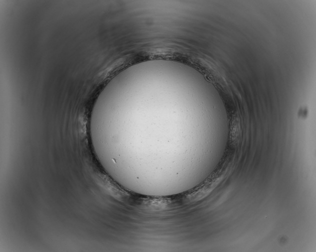 X0000099580282200806061634