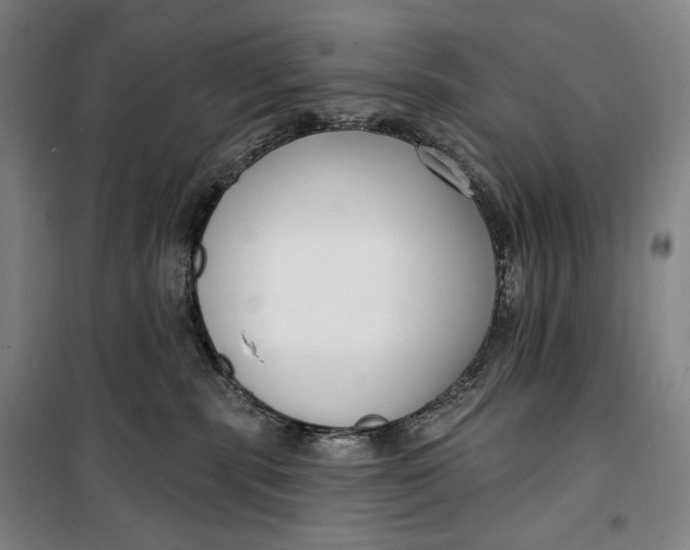 X0000099580283200806061634