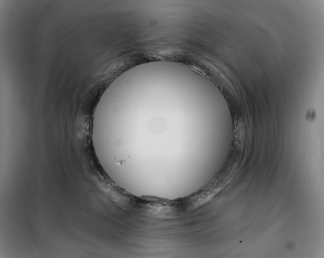 X0000099580284200806061634