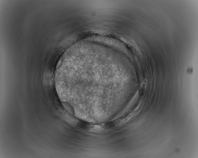 X0000099580285200806061634