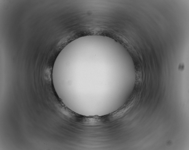 X0000099580286200806061634