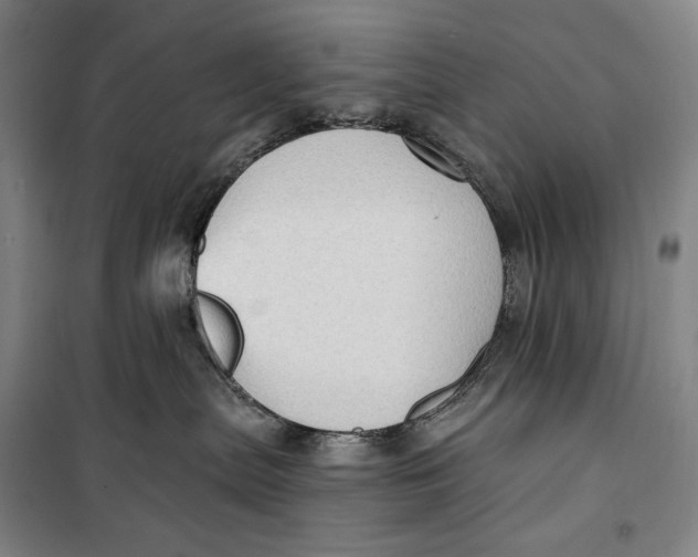 X0000099580287200806061634