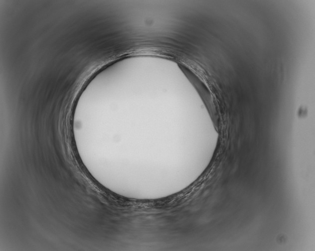 X0000099580289200806061633