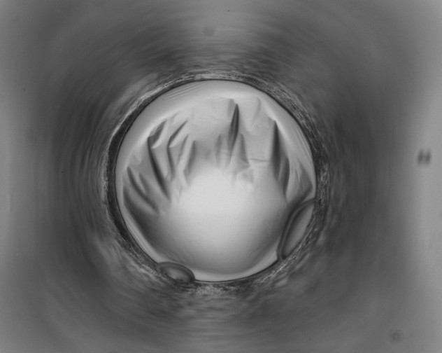 X0000099580290200806061633