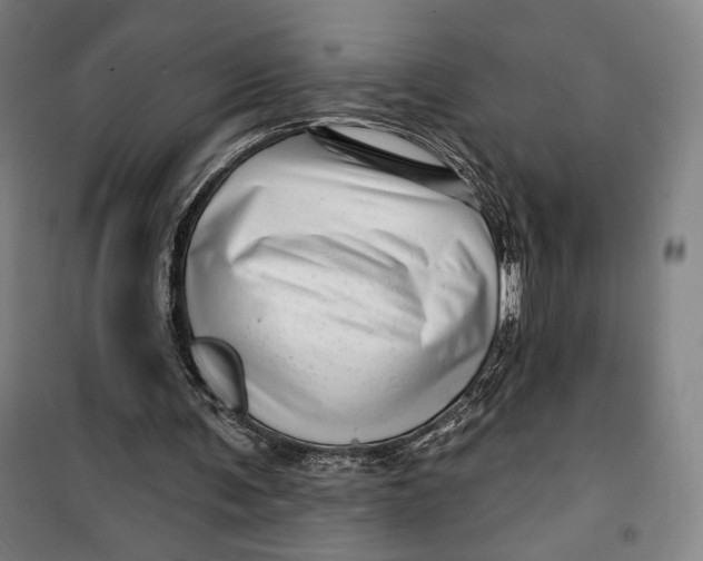 X0000099580291200806061633