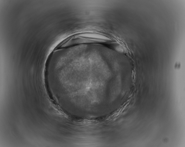 X0000099580292200806061633