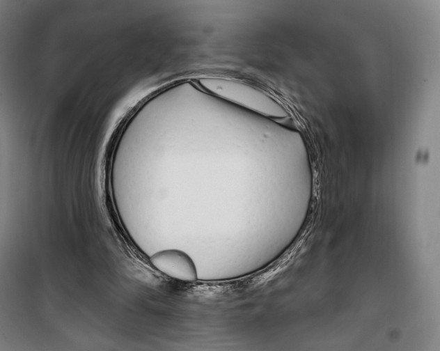 X0000099580294200806061633