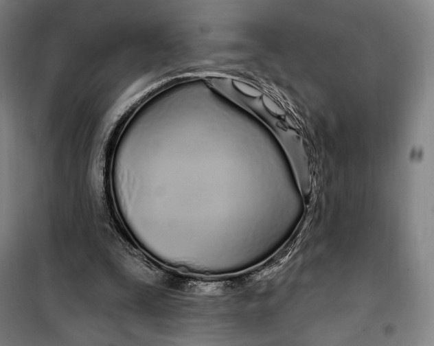 X0000099580295200806061633