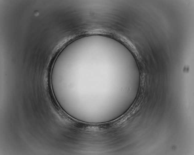 X0000099580298200806061633