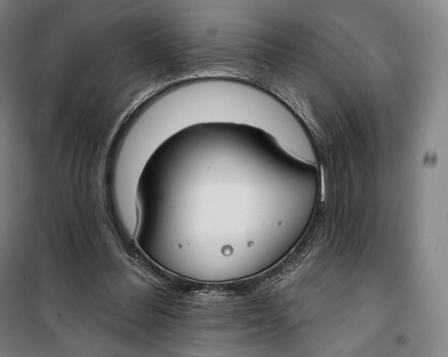 X0000099580300200806061633