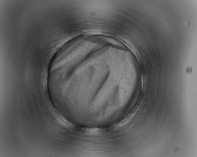 X0000099580301200806061633