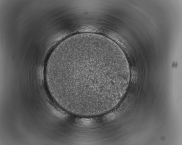 X0000099580302200806061633