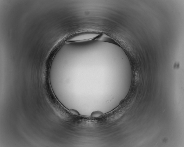 X0000099580304200806061633