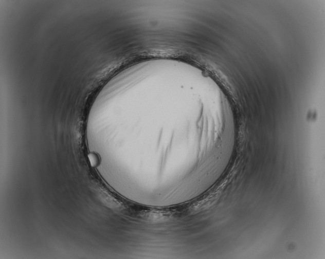 X0000099580305200806061633